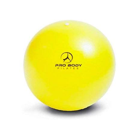 ProBody Pilates Mini Exercise Ball